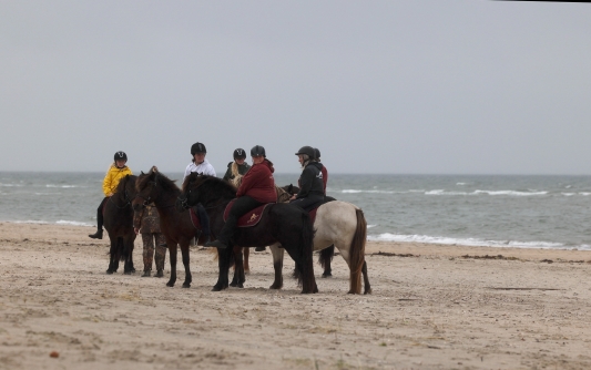 Fotograf_Frida_Gregersen_Uendelig_Molly_Haslund_2023_First_There_Is_A_Mountain_Wadden_Tide_2023_22232434.jpg