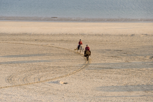 Fotograf_Victor_Kofod_Wadden_Tide_2023_Uendelig_Molly Haslund_DSC00802.jpg